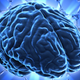 Image for article titled Computer simulation reveals how we worked together to evolve bigger brains